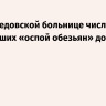 В Домодедовской больнице число заболевших «оспой обезьян» достигло трех