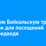 Большую Байкальскую тропу закрыли для посещений из-за медведя