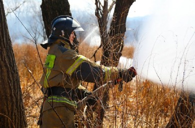 Лесной пожар полыхает в Приморье почти на 300 гектарах уже неделю