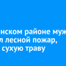 В Зиминском районе мужчина устроил лесной пожар, сжигая сухую траву