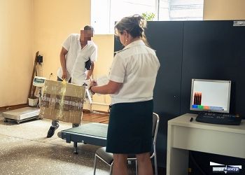 Иностранец пытался ввести в Приамурье 17 кило овощей и фруктов