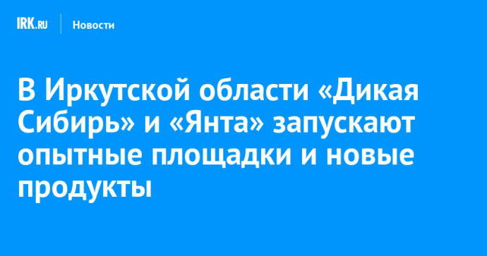 В Иркутской области «Дикая Сибирь» и «Янта» запускают опытные площадки и новые продукты В Иркутской области «Дикая Сибирь» и «Янта» запускают опытные площадки и новые продукты