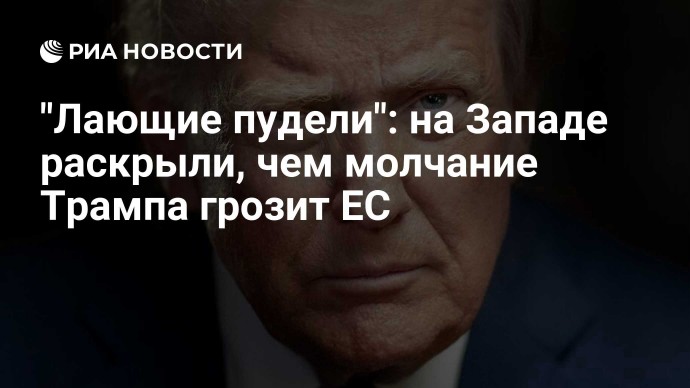 "Лающие пудели": на Западе раскрыли, чем молчание Трампа грозит ЕС