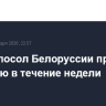 Новый посол Белоруссии прибудет в Россию в течение недели