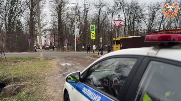 В Ярославской области с начала года зарегистрировали 225 ДТП с участием пешеходов В Ярославской области с начала года зарегистрировали 225 ДТП с участием пешеходов