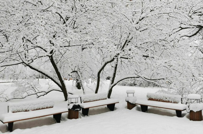 Аномальный снегопад в Московской области побил два исторических рекорда