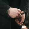 Суд оставил под арестом обвиняемого в похищении и убийстве бордер-колли