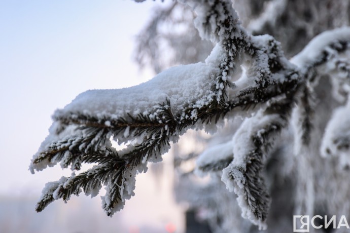 Михайлов день 21 ноября: что можно и нельзя делать, приметы