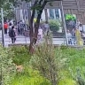 В Московском зоопарке неизвестный попытался отравить животных