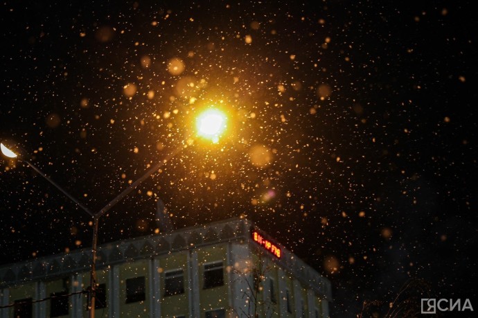 Пока в Якутии была ночь: крушение самолета, полеты в Джидду, жировая пробка