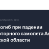 Пилот погиб при падении легкомоторного самолета Ан-2 в Ростовской области