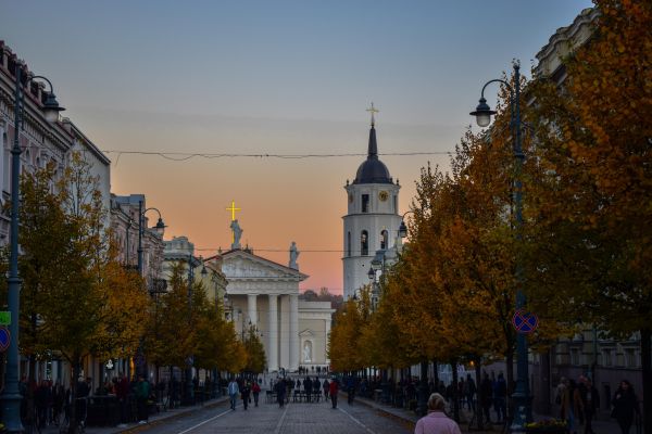Мэр Вильнюса отправил отмечающих День Победы к мусорке «для гвоздик и ностальгии»
