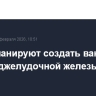 В РФ планируют создать вакцину от рака поджелудочной железы