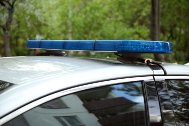 Парень бесследно исчез в лесу во время сбора кедровых шишек в российском регионе