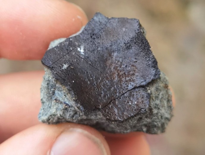 Условное название пролетевшего метеорита связали с Новгородской областью Условное название пролетевшего метеорита связали с Новгородской областью