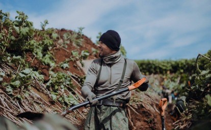 Японский дот обнаружили поисковики на Шумшу
