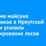 Во время майских праздников в Иркутской области усилили патрулирование лесов