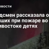 Омбудсмен рассказала о погибших при пожаре во Владивостоке детях