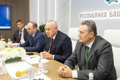 Башкирия и китайский концерн BYD хотят развивать совместные проекты
