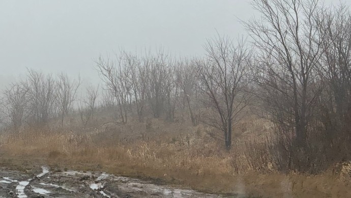 В Башкирии предупредили о погодных аномалиях В Башкирии предупредили о погодных аномалиях