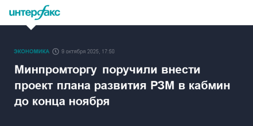 Минпромторгу поручили внести проект плана развития РЗМ в кабмин до конца ноября