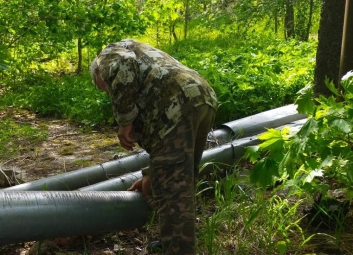 Новгородский огородник использовал странный материал для теплицы на даче