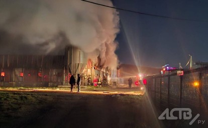 Сотни животных погибли в крупном пожаре в Анивском районе