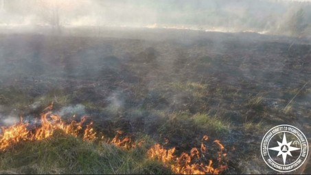 В Башкирии за сутки  произошло одно возгорание сухой растительности