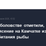 В Росрыболовстве отметили, что землетрясение на Камчатке изменило среду обитания рыбы