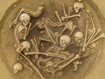 В Словакии нашли братскую могилу из 85 обезглавленных фермеров эпохи неолита — Earth