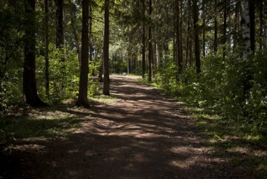 ​Власти Перми обсуждают с бизнесом запуск кафе в Балатовском парке