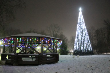 Костромские ёлки претендуют на звание лучших в стране