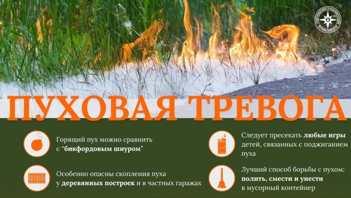 В Башкирии за три дня в «112» поступило более 70 сообщений о горящем пухе