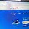 Новый сервис «Госуслуг» защитит граждан от интернет-мошенников