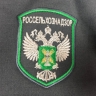В двух районах Мордовии зарегистрированы новые случаи бешенства животных