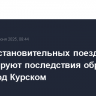 Два восстановительных поезда ликвидируют последствия обрушения моста под Курском