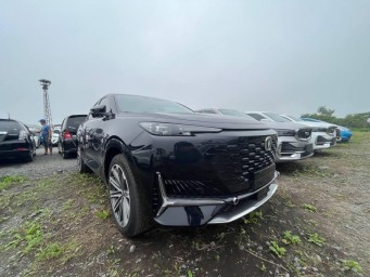 Больше не прокатит: за грязный номер отберут права в Приморье