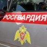 Пьяного водителя приметили и задержали в Тамбовке росгвардейцы