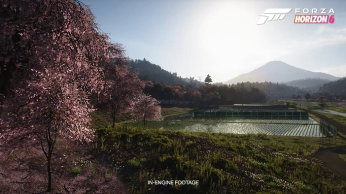 Forza Horizon 6 получила очень высокие оценки от профильных изданий Forza Horizon 6 получила очень высокие оценки от профильных изданий