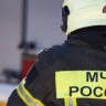 В Подмосковье ликвидировали пожар в конюшне