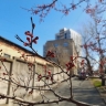 Владивосток уверенно перешёл на сторону тепла