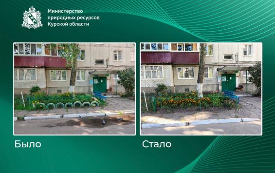 В Курске убрали клумбы из старых автомобильных покрышек
