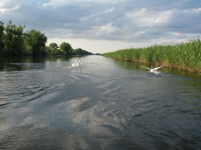 Прибывающая в паводок по Волге вода нехарактерного цвета. Как это объясняют рыбаки