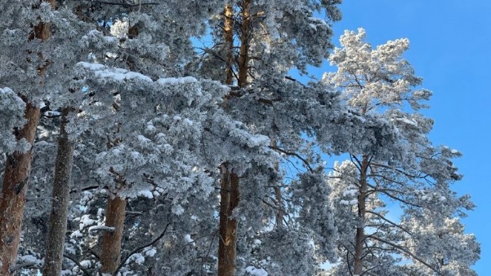 Лютые морозы в Башкирии: спасатели экстренно обратились к жителям республики
