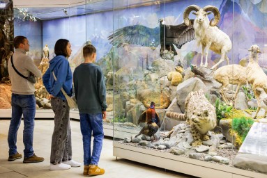 Московская музейная неделя пройдет в столице с 15 по 21 декабря