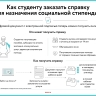 Как студенту заказать справку для назначения социальной стипендии