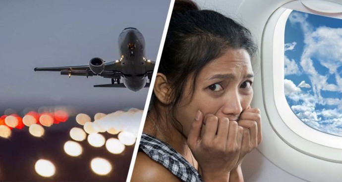 Крылатый «камикадзе»: авиаудар пернатых привёл к страховой выплате 10 миллионов Крылатый «камикадзе»: авиаудар пернатых привёл к страховой выплате 10 миллионов