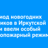 На период новогодних праздников в Иркутской области ввели особый противопожарный режим