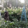 В Перми завели дело на службу ритуальных услуг из-за платного ухода за могилами