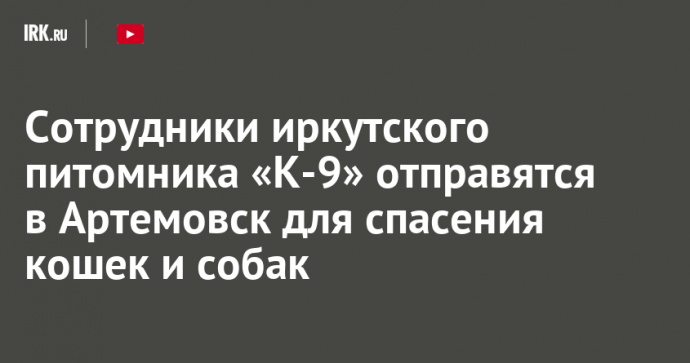 Сотрудники иркутского питомника «К-9» отправятся в Артемовск для спасения кошек и собак